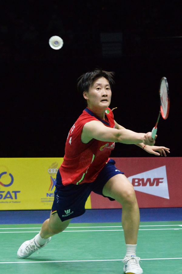 球迷们的热 球迷们的热